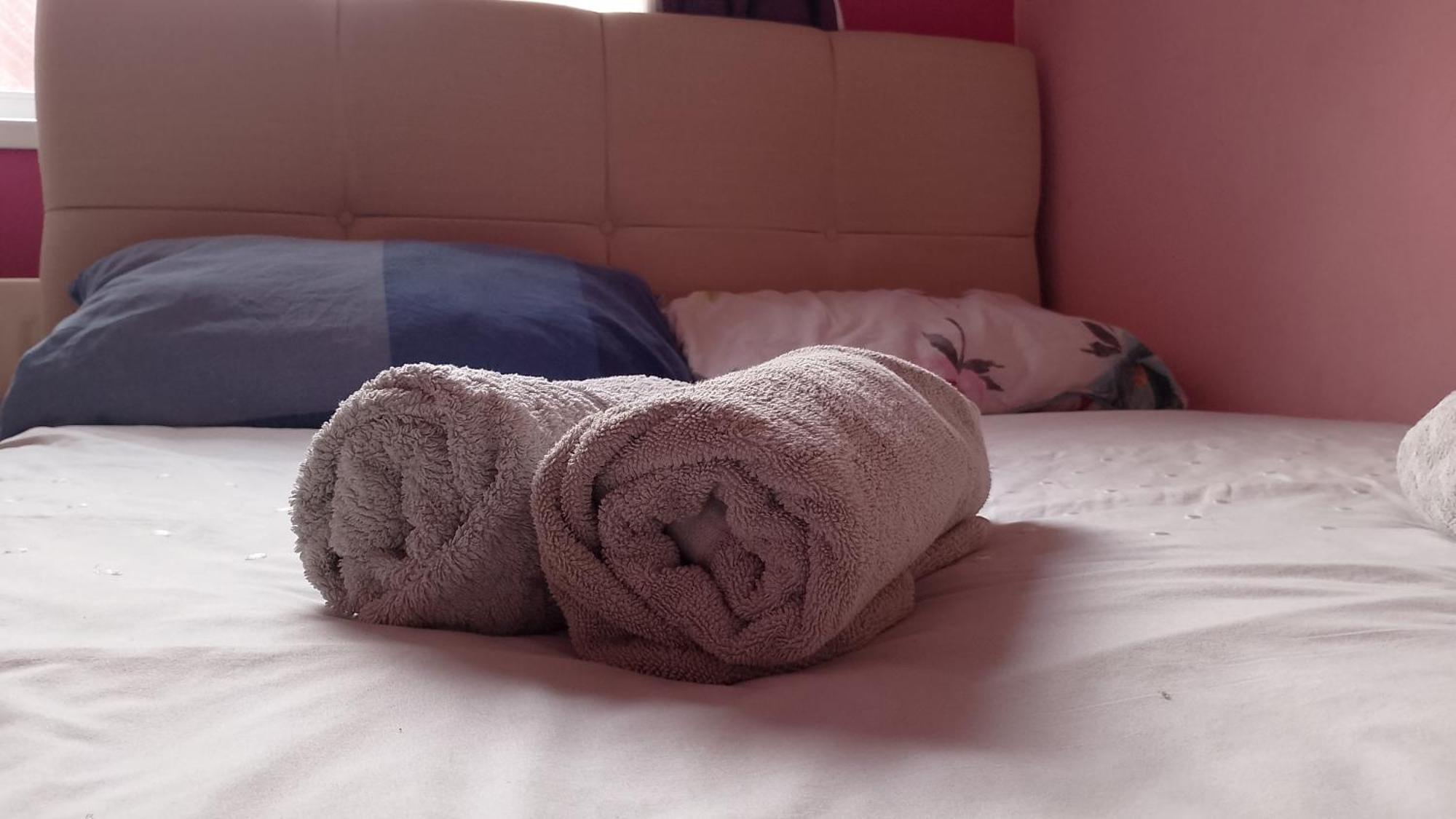 Iris House Apartment Belfast Ngoại thất bức ảnh
